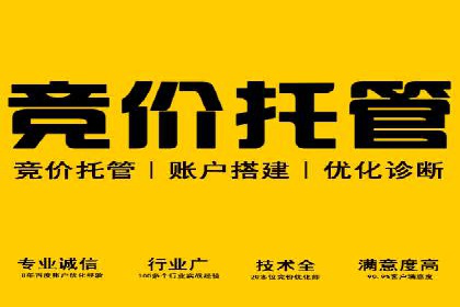 SEM托管服务成功案例：让广告投放更精准、更高效